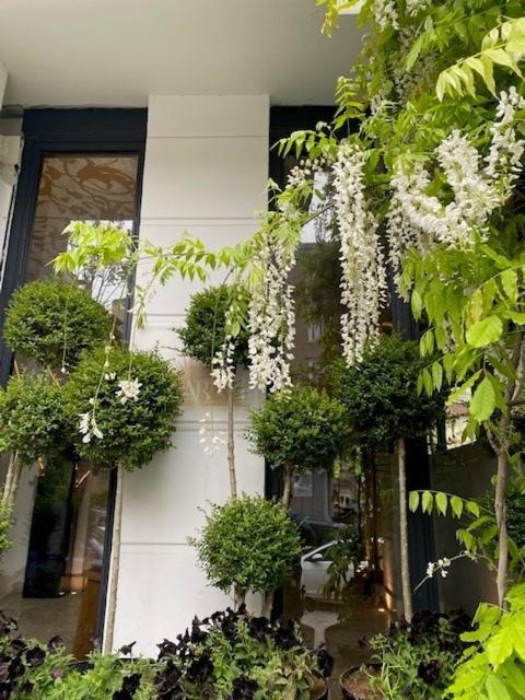 Ab Residences -Cihangir Luxury Antique Apartment Istanbul Eksteriør bilde